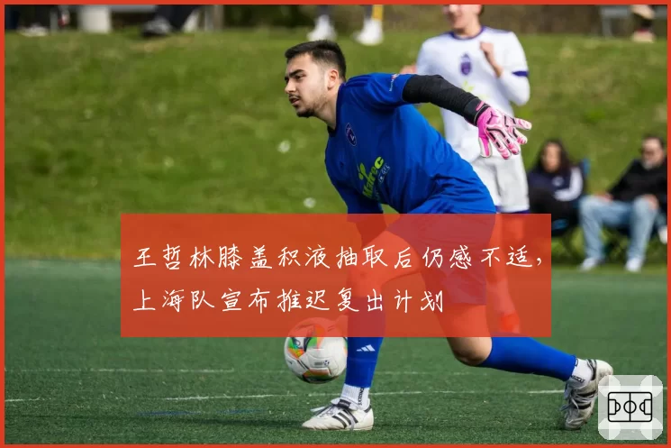 王哲林膝盖积液抽取后仍感不适，上海队宣布推迟复出计划