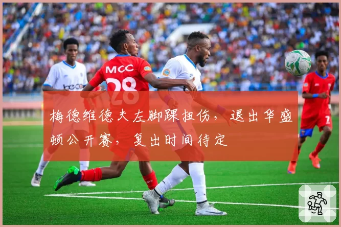 梅德维德夫左脚踝扭伤，退出华盛顿公开赛，复出时间待定