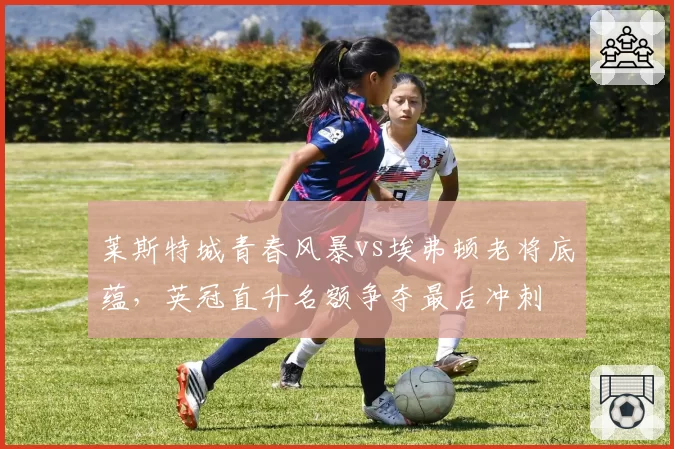莱斯特城青春风暴vs埃弗顿老将底蕴，英冠直升名额争夺最后冲刺